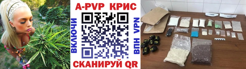 A PVP СК КРИС  Сковородино 