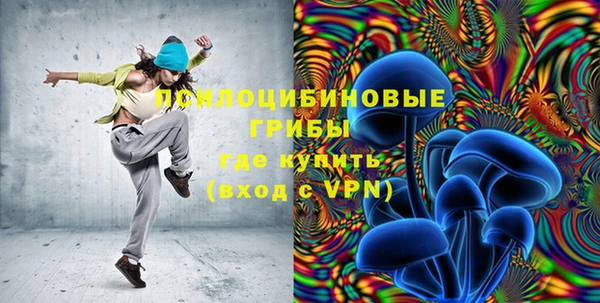 ECSTASY Белоозёрский
